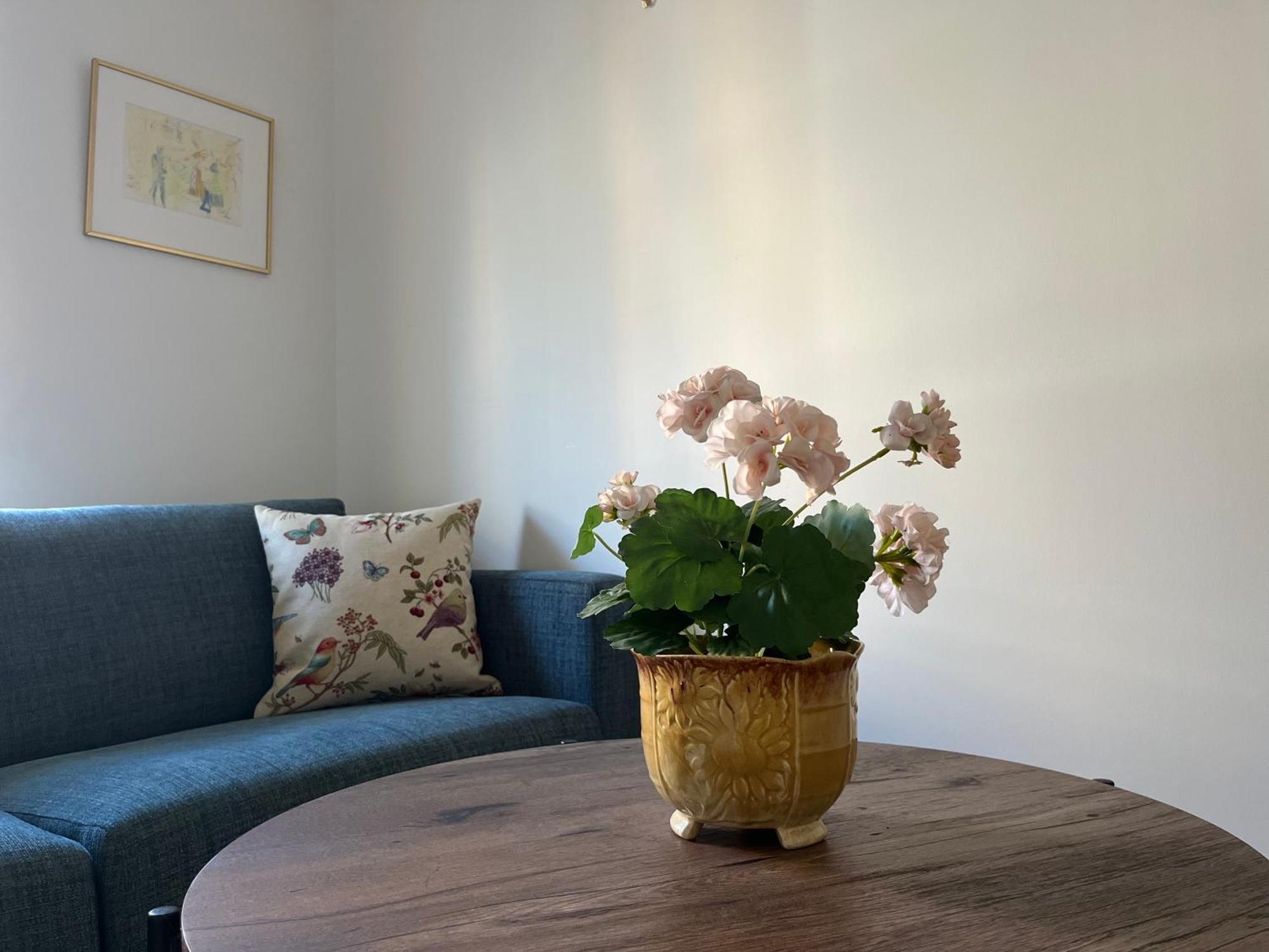 Ahusbrygga Apartment Hotel מראה חיצוני תמונה